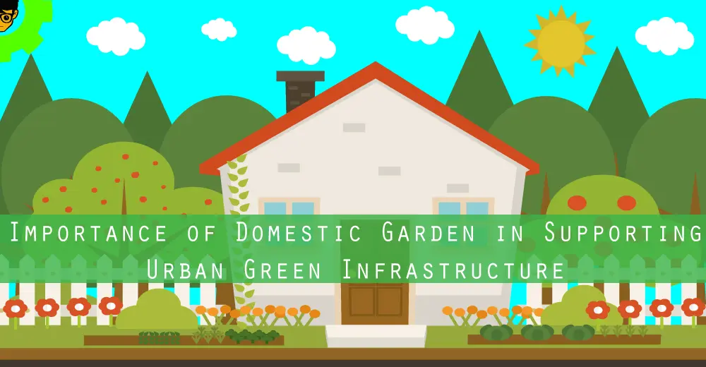 Importance of Domestic Garden in Supporting Urban Green Infrastructure