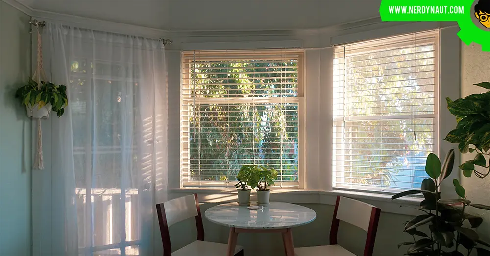 4 Tips To Decorate Your Windows