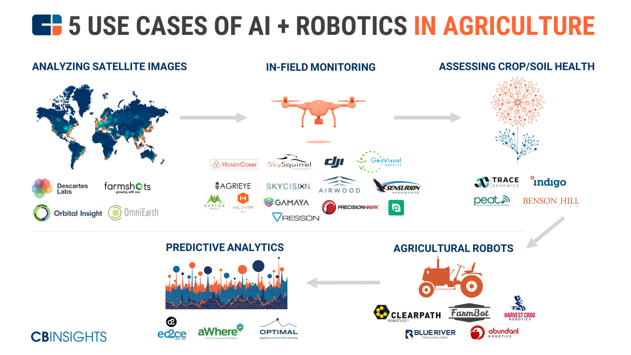 AI offers several benefits to the agricultural process, with the end goal of increasing productivity