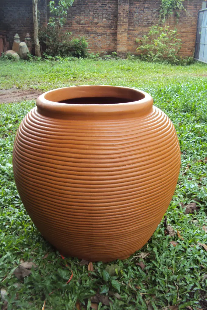 Pot on Grass Sri Lanka
