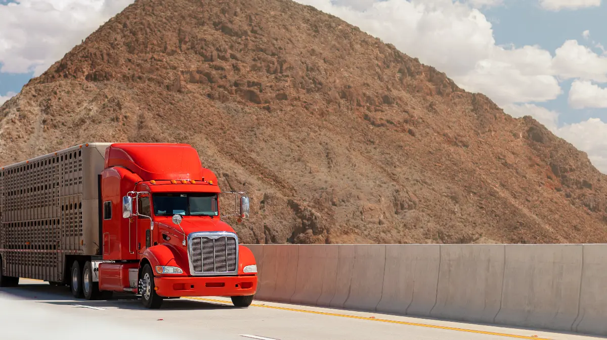 Tips for Driving Safely Around Large Trucks