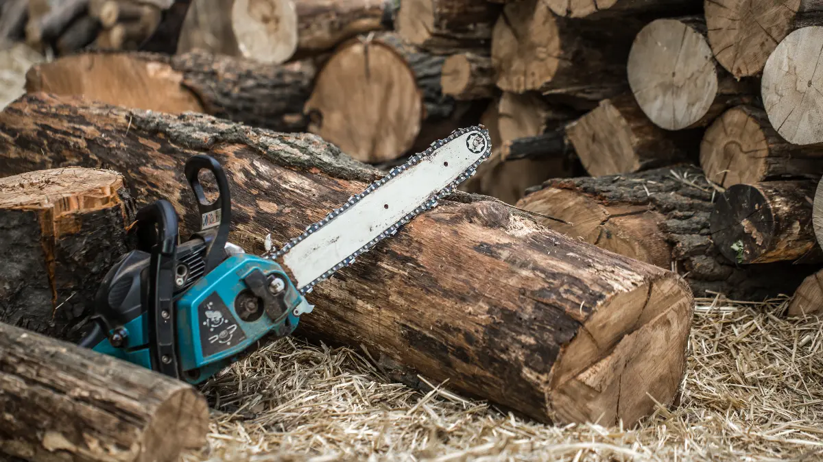 The 6 Definitive Signs It's Time To Change The Bar On A Chainsaw