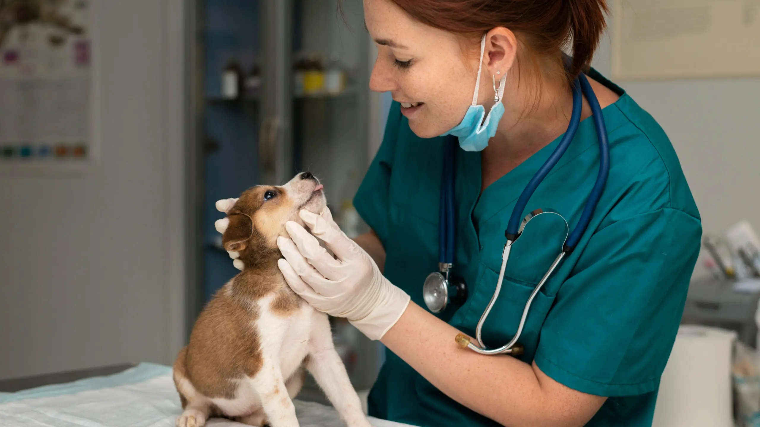 How to Increase the Value of Your Veterinary Practice