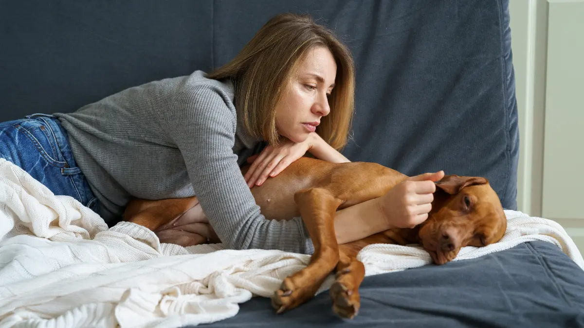7 Signs That Your Dog May Be Sick and What to Do