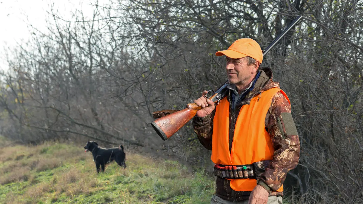 Do You Enjoy Hunting? Here Are Some Useful Tips