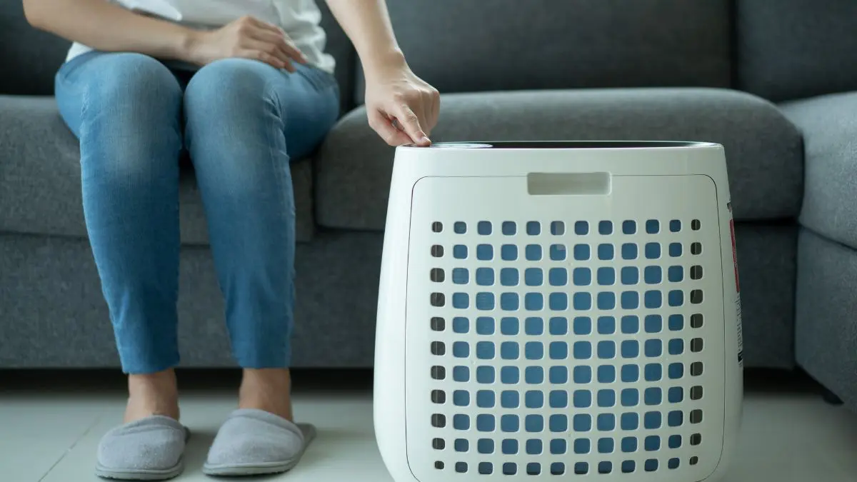 How to Keep Your Indoor Air Pure and Healthy for You
