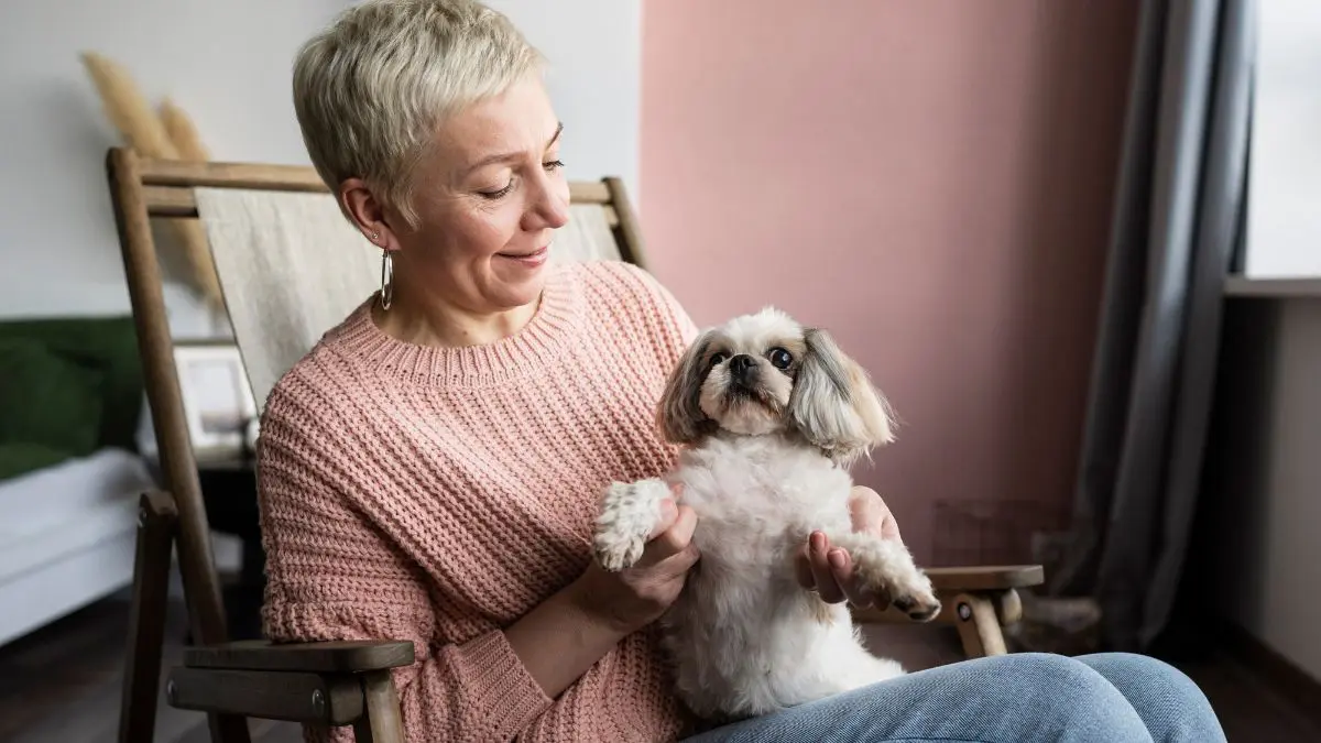 Are Small or Large Dogs Better for Elderly Companions?