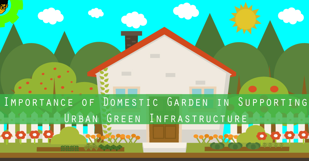 Importance of Domestic Garden in Supporting Urban Green Infrastructure