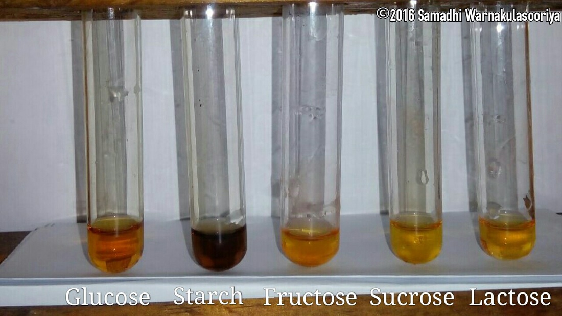 Carbohydrates Part 2 Chemical Tests For Carbohydrates Nerdynaut