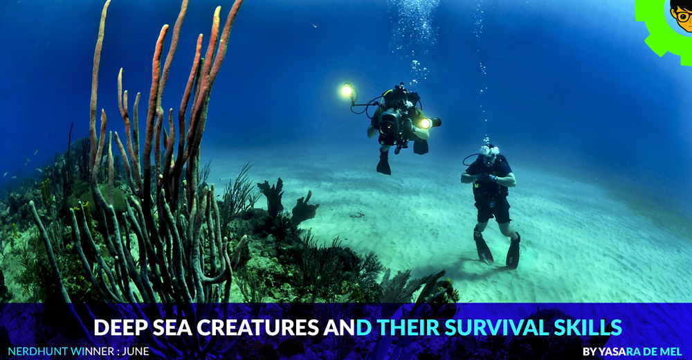 Deep sea creatures and their survival skills