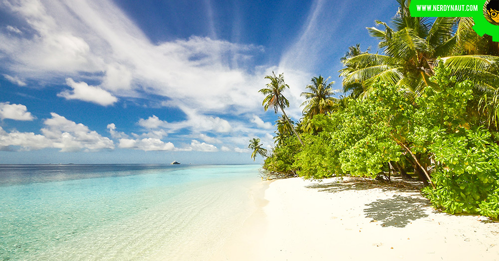 Hawaii Beach