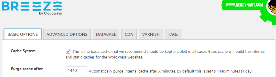 Breeze Internal Cache options