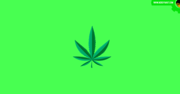 Marijuana