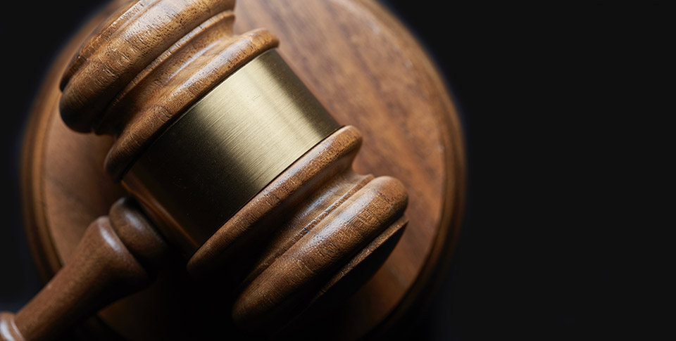 Judge Hammer