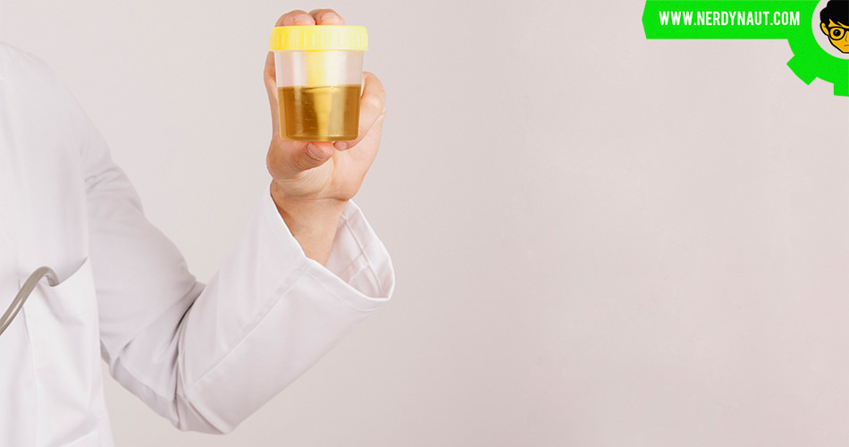 Synthetic Urine Test with a doctor