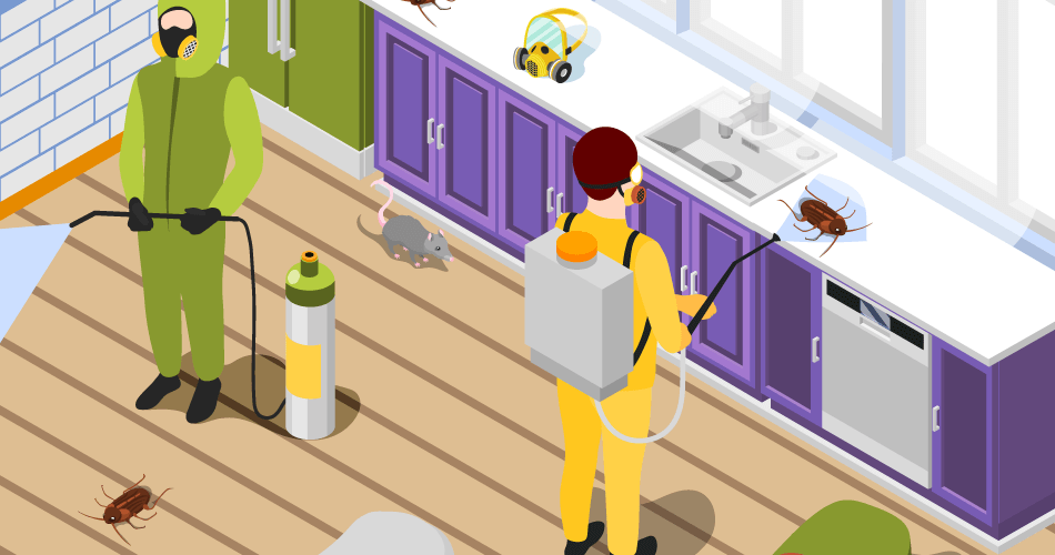 Pest Control Treatment