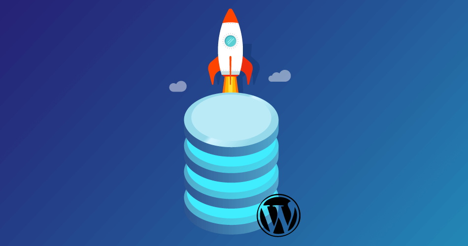 Best WordPress Database Plugin Options to Accelerate the Speed of Your Database