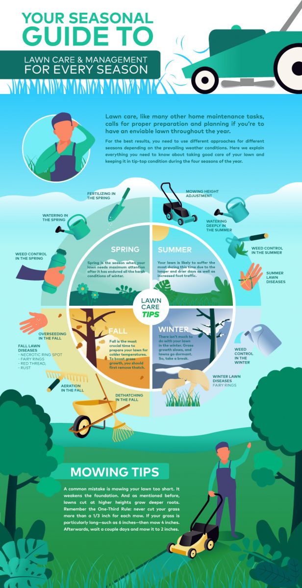 An All-Year-Round Lawn Care Guide with Seasonal Steps - Nerdynaut