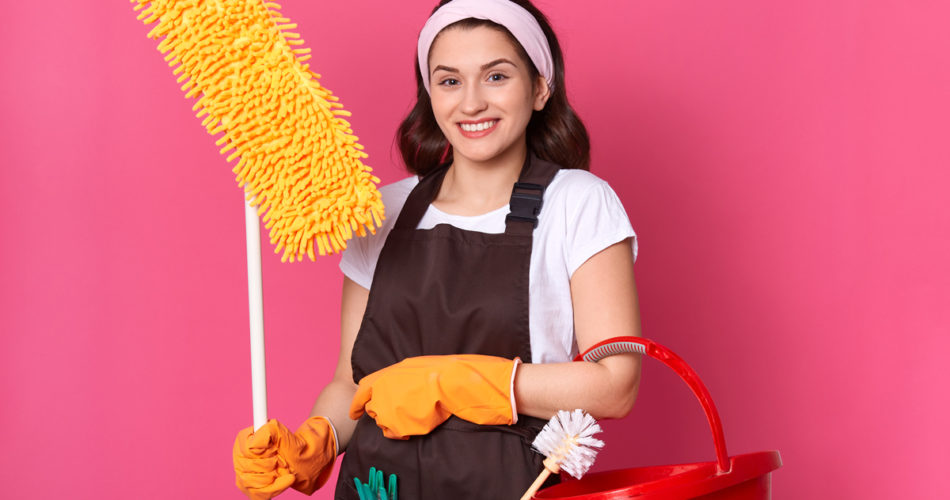 Professional Maid