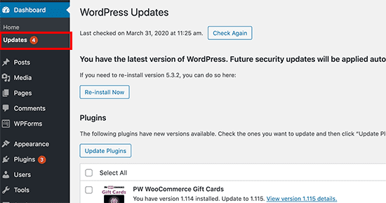 Wordpress Updates