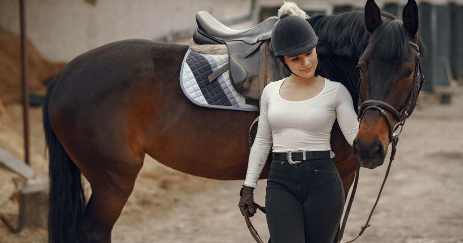 Horse Riding Equipment