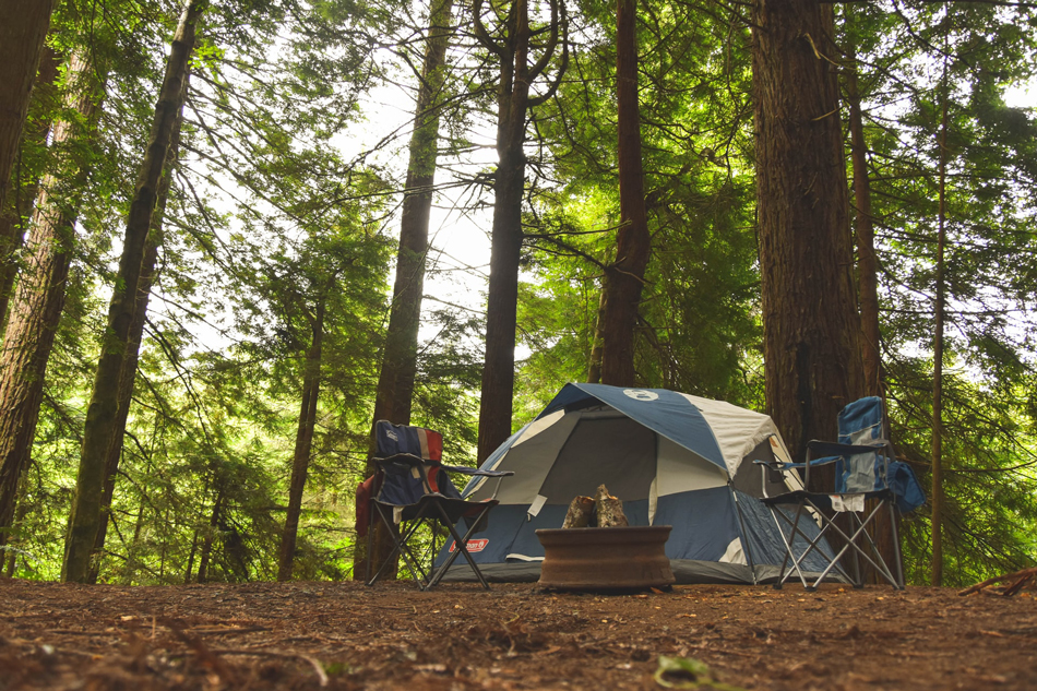 Camp Site