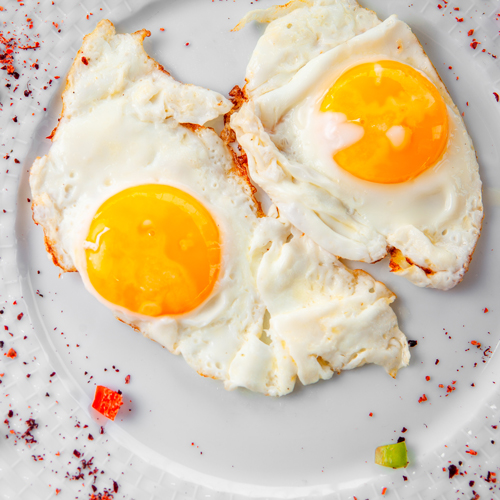 Eggs for Cats