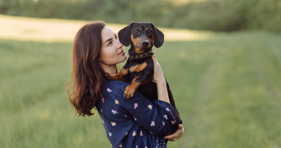 Dog E-Collar Training