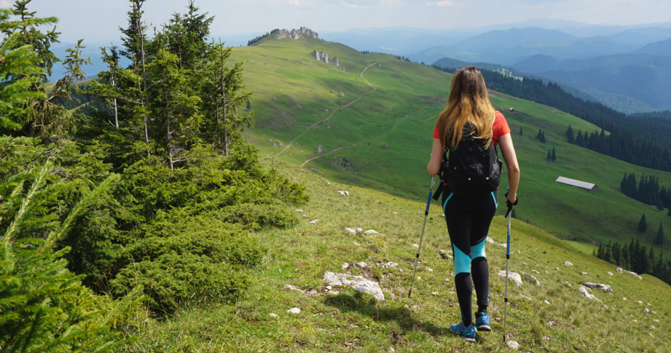 Top 8 High-Quality Gear Items for Your Next Adventure