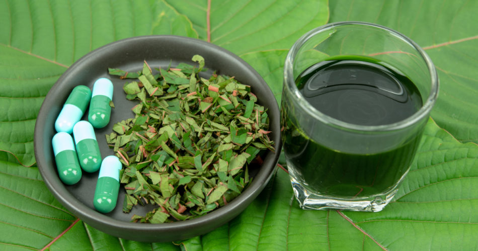 What You Need to Know About Kratom