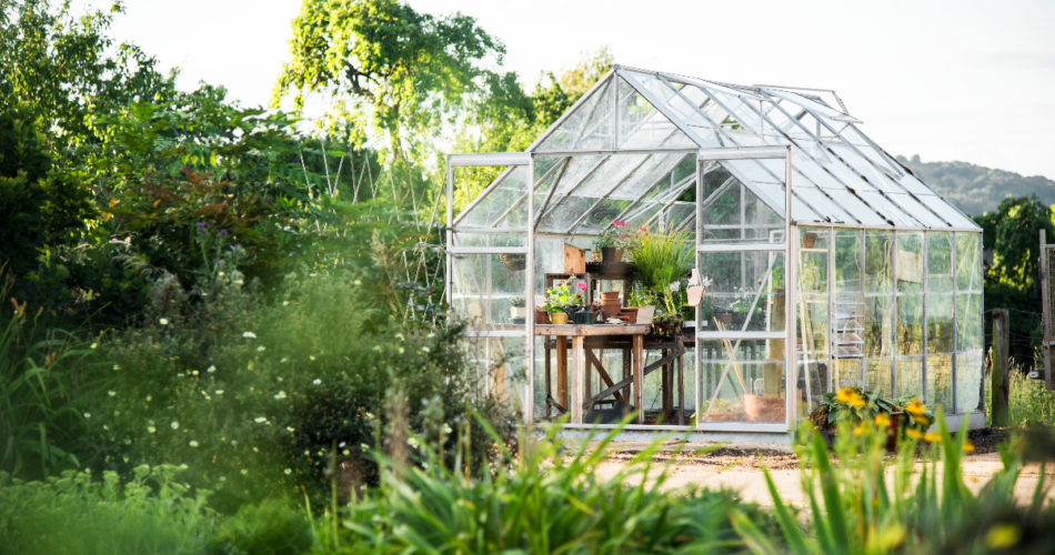 Buying a Grow Tent? Here's How to Choose the Right One