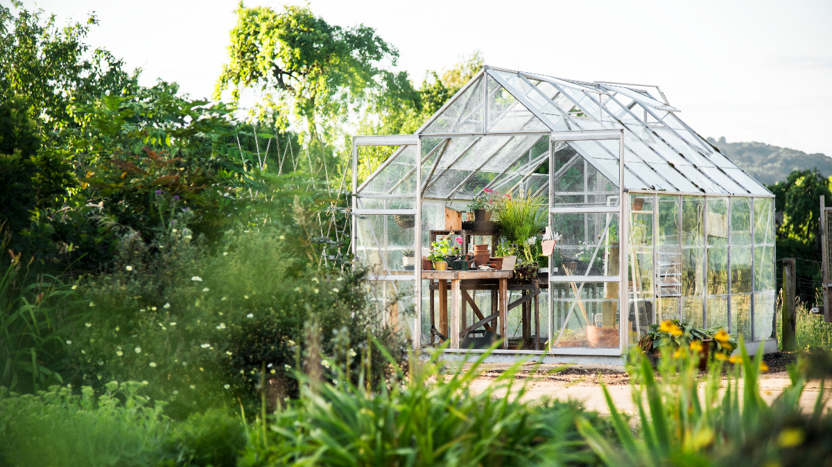 Buying a Grow Tent? Here's How to Choose the Right One