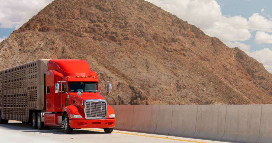 Tips for Driving Safely Around Large Trucks