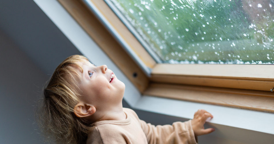 Top 4 Weather Resistant Materials You Should Use in 2021