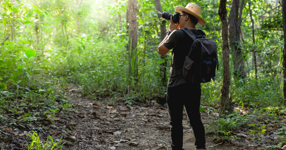 Ultimate 4 Things to Consider Before Buying a Hunting Camera