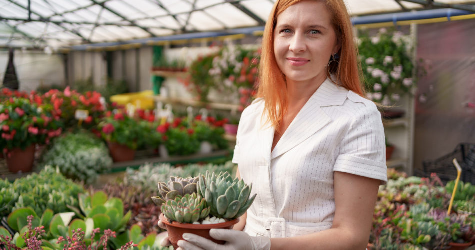 7 of the Many Succulent Types That Do Well Indoors