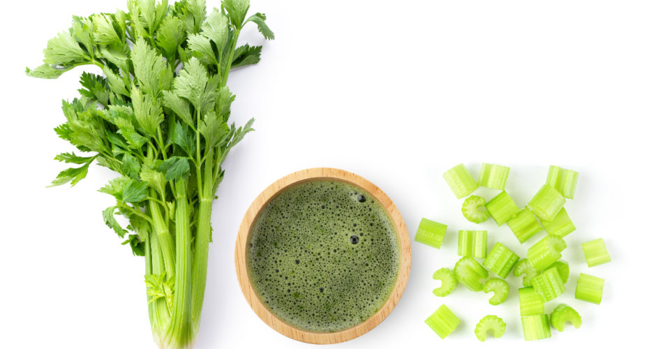 Buying Guide of Juicer for Celery | Things to Consider