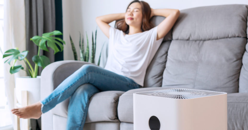 How to Keep the Air in Your House Clean and Why It's Important