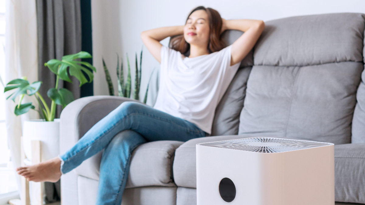 How to Keep the Air in Your House Clean and Why It's Important Nerdynaut