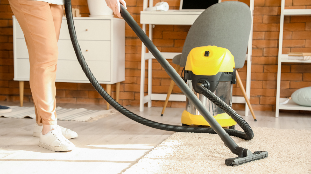 Qualities to Look for When Buying a Canister Vacuum