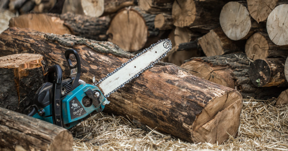 The 6 Definitive Signs It's Time To Change The Bar On A Chainsaw