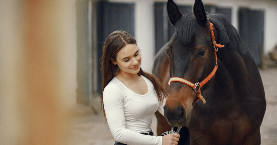 Want to Buy a Horse? Here's the Basic Horse Care Guide You Should Know by Heart