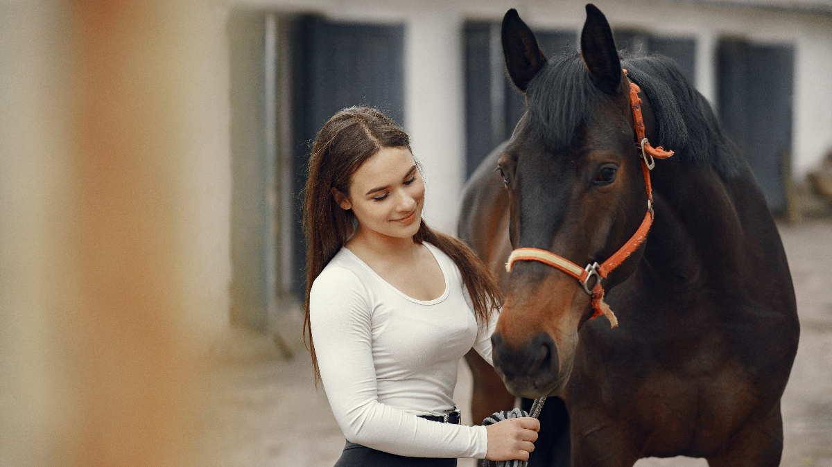 Want to Buy a Horse? Here's the Basic Horse Care Guide You Should Know by Heart