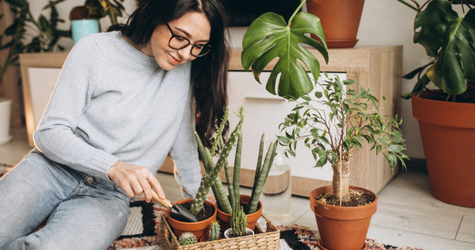 4 Exciting Hobbies You'll Want to Try Out