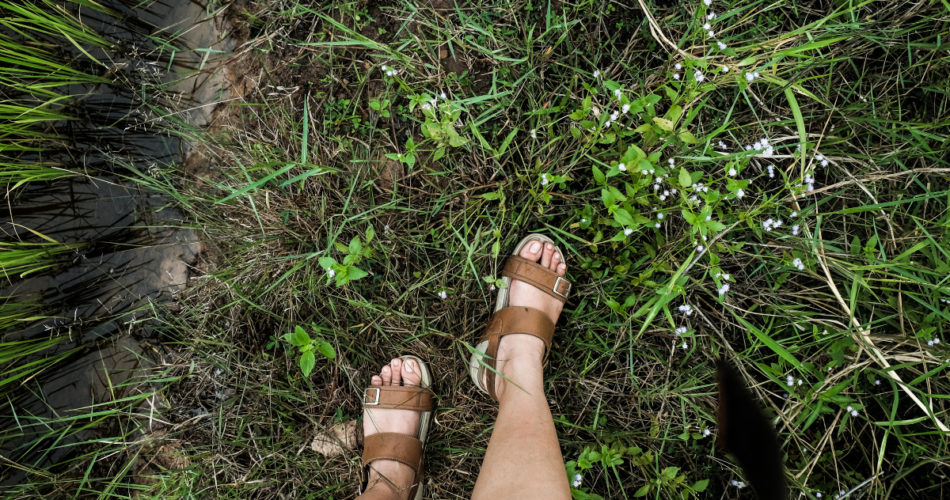 What Makes Slide Shoes Popular With Women?