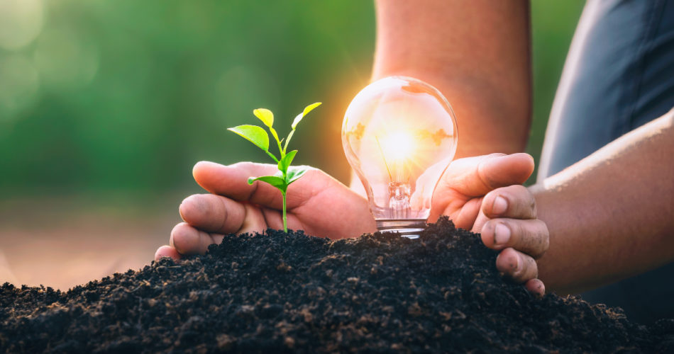 7 Incredible Perks of Green Energy that Make it Perfect for the Upcoming Era