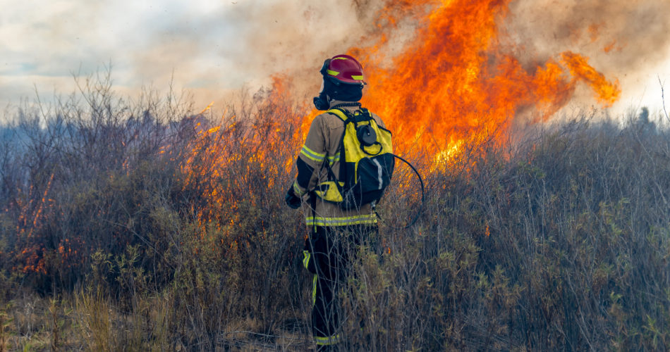 Does House Insurance Cover Forest Fires?