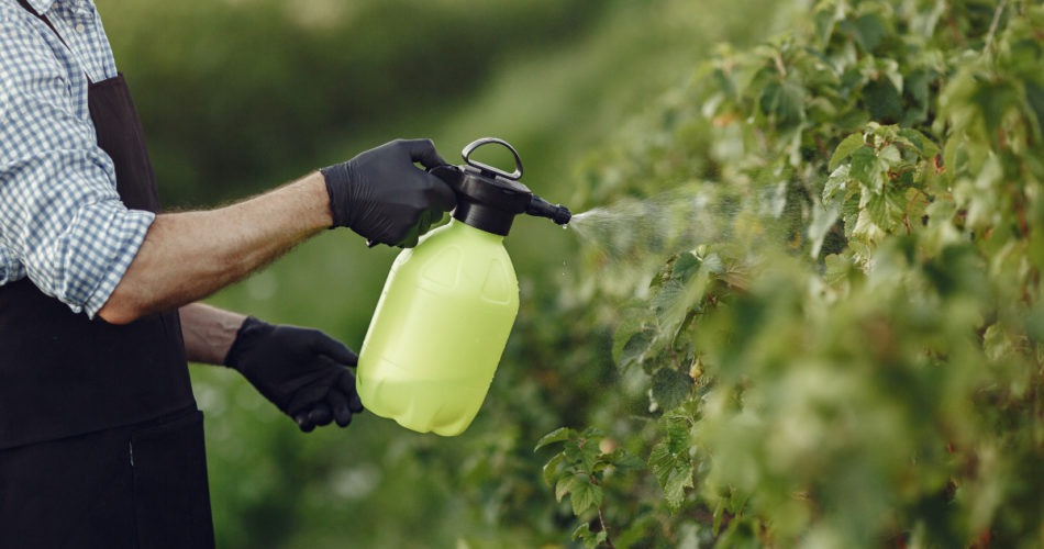 What Types of Chemicals Does Your Garden Need? Find Out Here