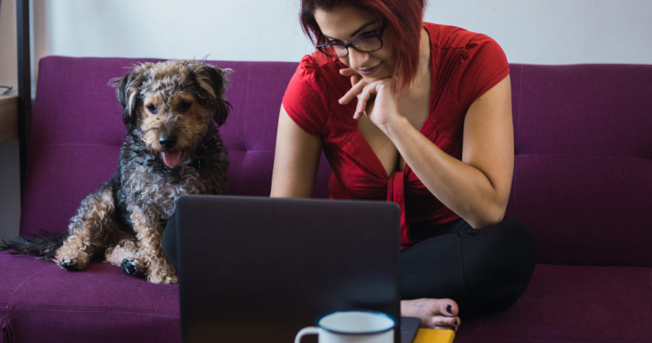 Make the “Back to Work” Transition Easier for Your Pet