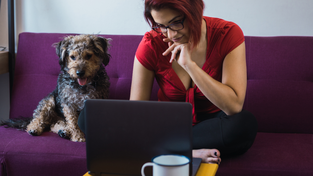 Make the “Back to Work” Transition Easier for Your Pet